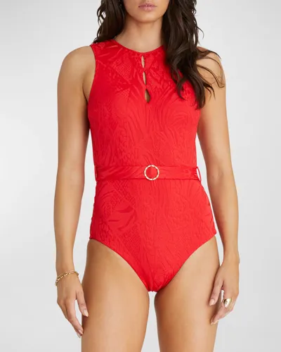 Aqua Blu Australia Rossa Prudence Cutout One-piece Swimsuit