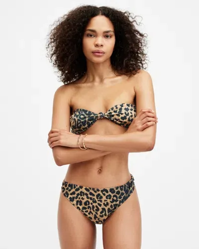 Allsaints Emma Leopard Print Bandeau Bikini Top In Leopard Brown