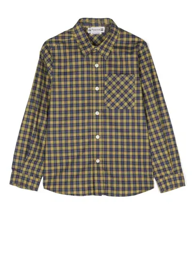 Bonpoint Kids' Check Long-sleeved Shirt In Green