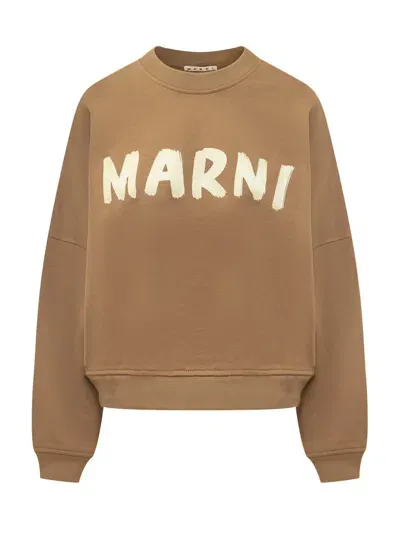 Marni Sweatshirt In Brown