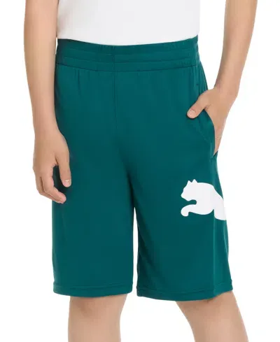 Puma Kids' Big Boys Essential Speed Pack Pull-on Performance Shorts In Green,bl