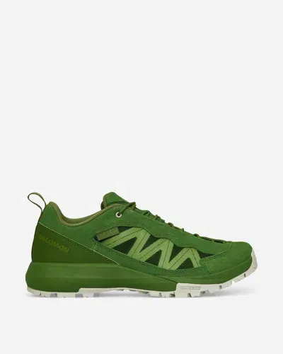 Salomon Phileo Alpinway Sp2 Sneakers Treetop / Icicle / Calla In Green