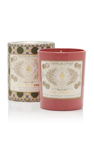 Santa Maria Novella Rosa Gardenia Candle In Multi